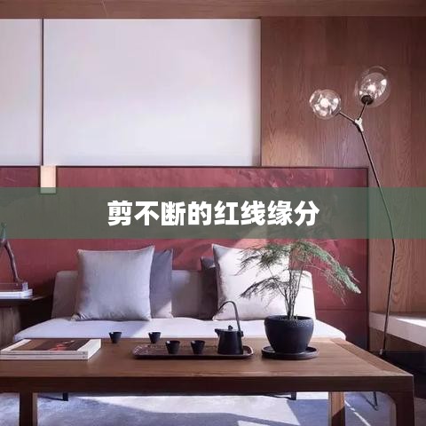 剪不断的红线缘分