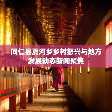 同仁县夏河乡乡村振兴与地方发展动态新闻聚焦