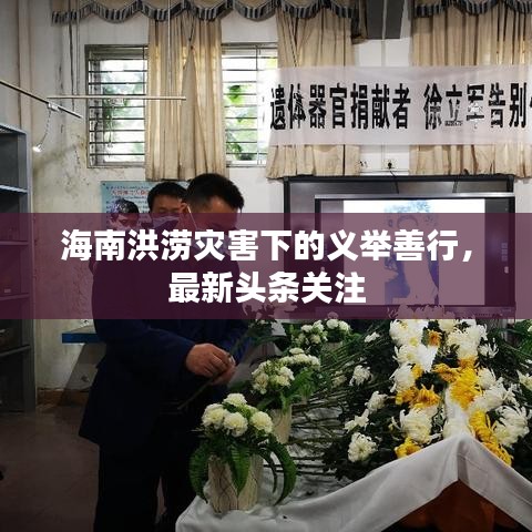 海南洪涝灾害下的义举善行，最新头条关注