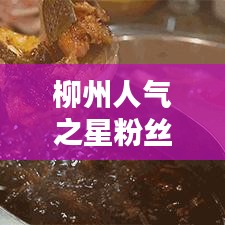 柳州人气之星粉丝榜单TOP10揭秘！