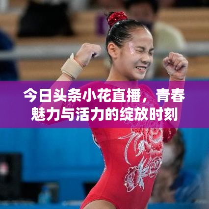 今日头条小花直播，青春魅力与活力的绽放时刻