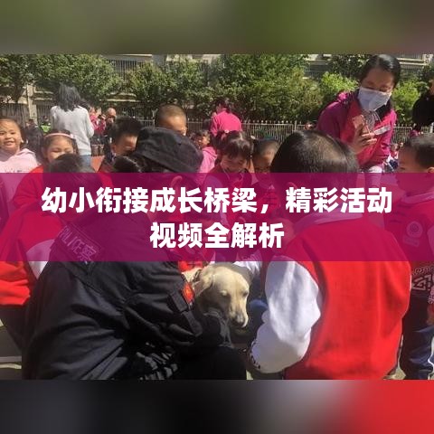 幼小衔接成长桥梁，精彩活动视频全解析
