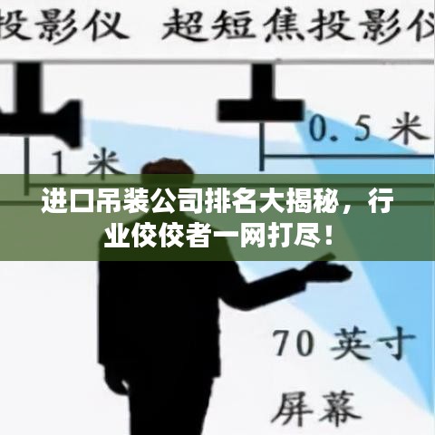进口吊装公司排名大揭秘，行业佼佼者一网打尽！