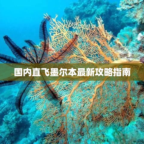 国内直飞墨尔本最新攻略指南