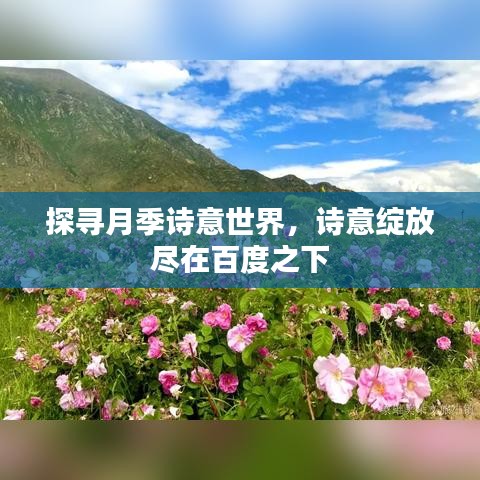 探寻月季诗意世界，诗意绽放尽在百度之下