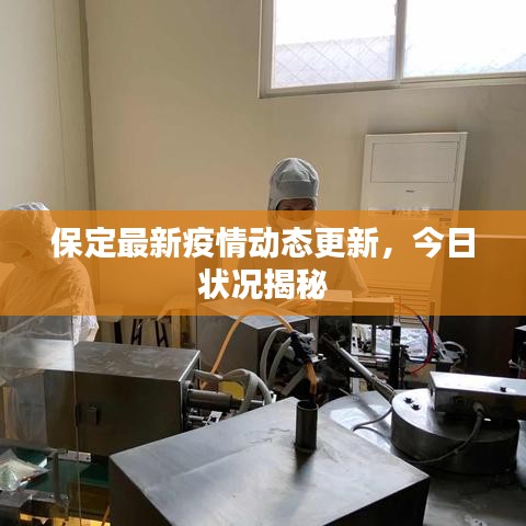 保定最新疫情动态更新，今日状况揭秘