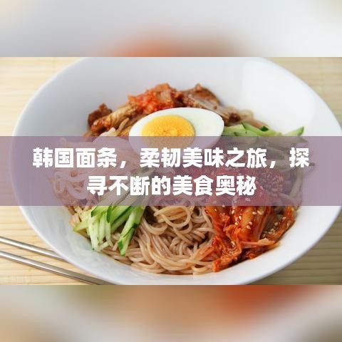 韩国面条，柔韧美味之旅，探寻不断的美食奥秘