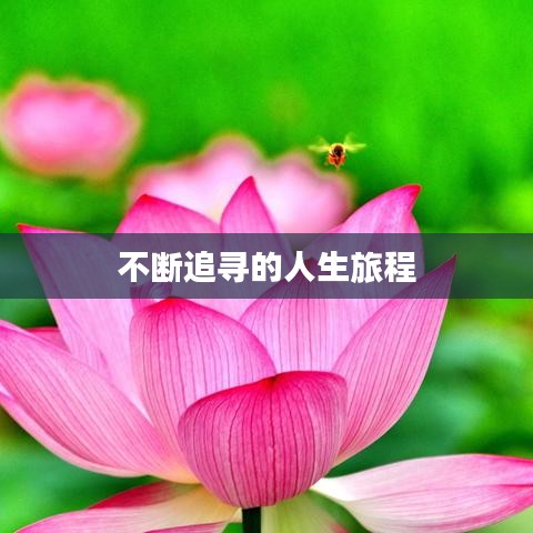 不断追寻的人生旅程