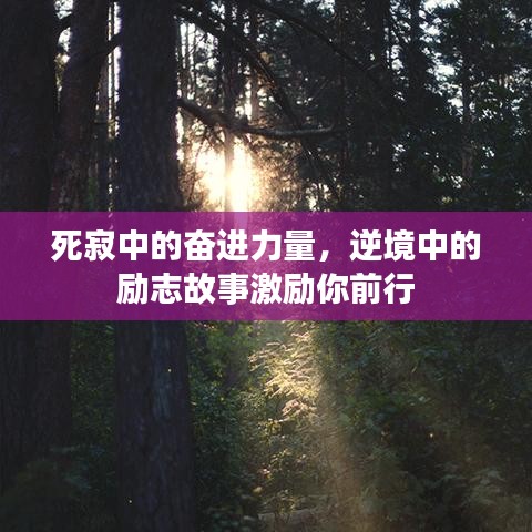 死寂中的奋进力量，逆境中的励志故事激励你前行