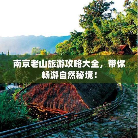 南京老山旅游攻略大全，带你畅游自然秘境！