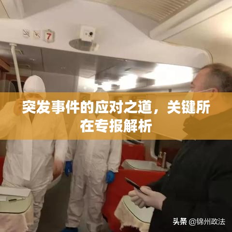 突发事件的应对之道，关键所在专报解析