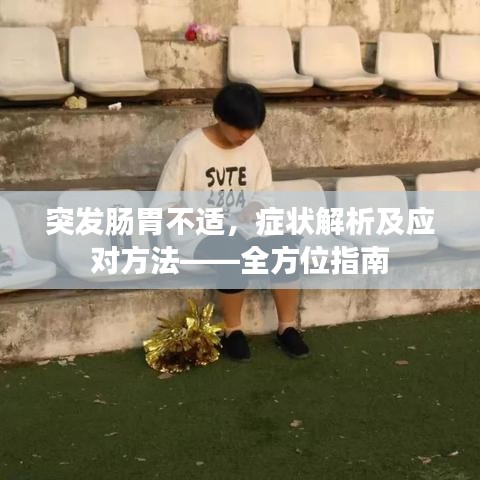 突发肠胃不适，症状解析及应对方法——全方位指南