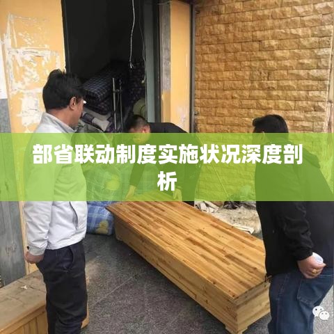 部省联动制度实施状况深度剖析