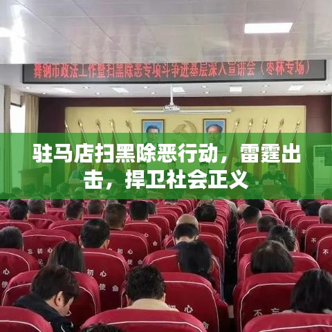 驻马店扫黑除恶行动，雷霆出击，捍卫社会正义