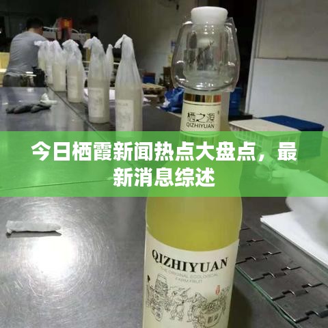 今日栖霞新闻热点大盘点，最新消息综述