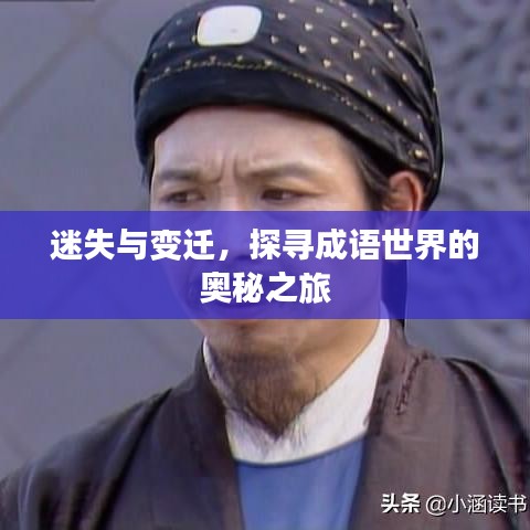 迷失与变迁，探寻成语世界的奥秘之旅