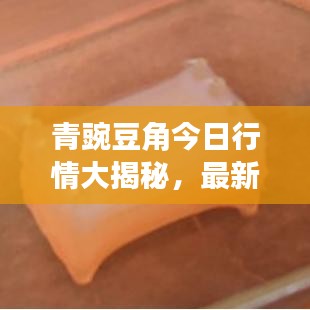 青豌豆角今日行情大揭秘，最新价格分析与趋势解读