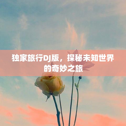 独家旅行DJ版，探秘未知世界的奇妙之旅
