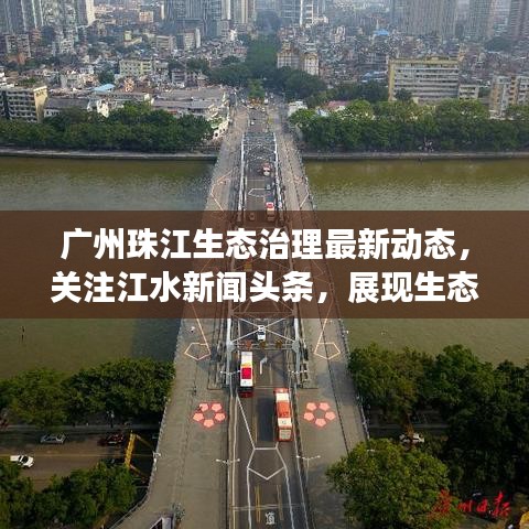 广州珠江生态治理最新动态，关注江水新闻头条，展现生态之美