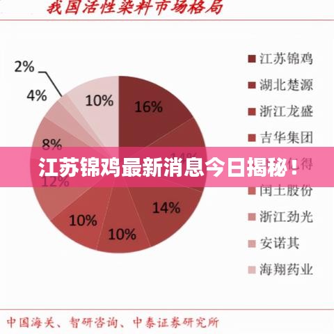 江苏锦鸡最新消息今日揭秘！