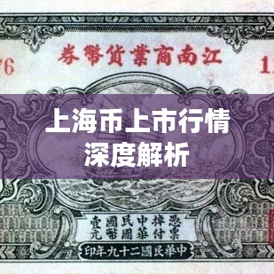 上海币上市行情深度解析
