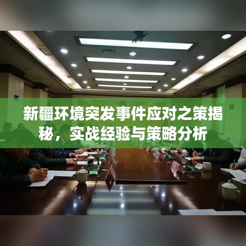 新疆环境突发事件应对之策揭秘，实战经验与策略分析