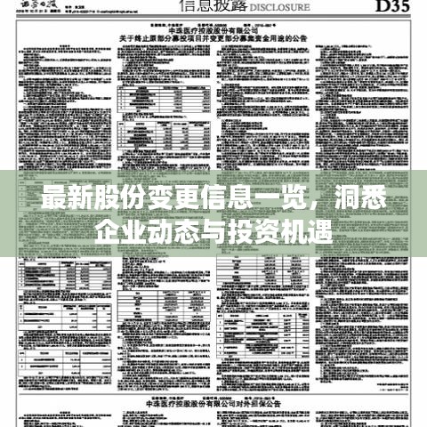最新股份变更信息一览，洞悉企业动态与投资机遇