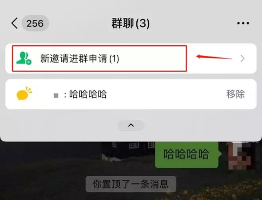 掌握这10招，你也是微信群聊版本，实时解析说明_特供版_v1.657大神！