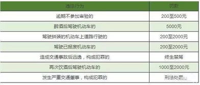 车轮查违章官方下载,现状分析解释定义&amp;iShop_v3.522