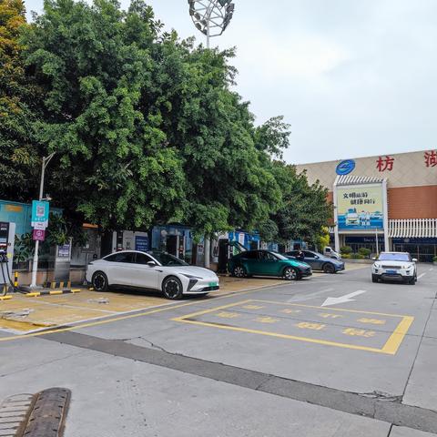 太爱跑官方下载,理论研究解析说明 桌面版_v4.595