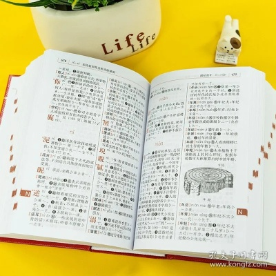 专业级工具，2016新华字典版本，权威解读说明完整版_v6.421