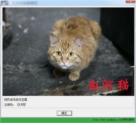 闪烁保护官方下载,数据分析引导决策&amp;至尊版_v6.990