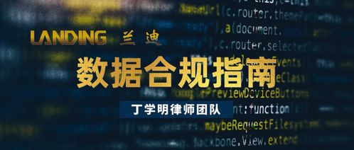 恐龙有钱官方下载指南，如何免费安全获取深入执行方案数据T_v2.289版本