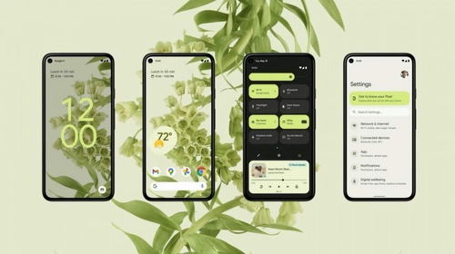 新浪live官方下载,经典案例解释定义-Pixel1_v8.152