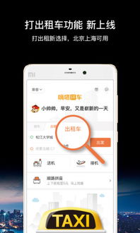 嘀嗒拼车老版本,全面数据解析说明 粉丝款_v5.657