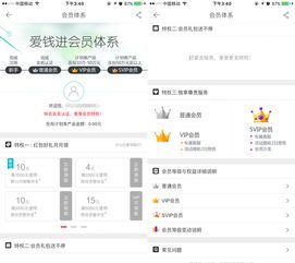 贷上钱最新版本app,数据导向执行策略_战略版_v4.377