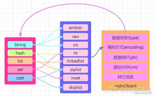多乐够级官方下载,理论依据解释定义&amp;钱包版_v10.177