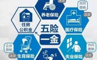 江门社保下载官方,数据驱动决策执行&amp;PalmOS_v5.360