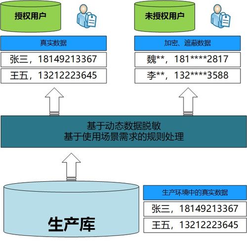 破解版本，科学数据解释定义pack1_v10.104，创意工作的新维度与效果盛宴