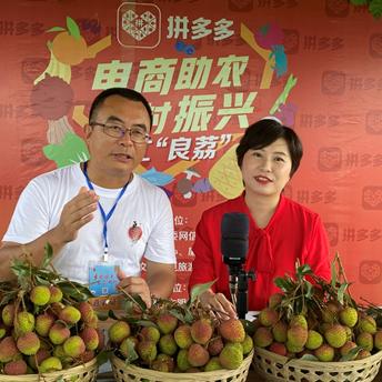 关于荔枝直播官方下载,高效设计计划_1080p_v4.288的常见问题解答