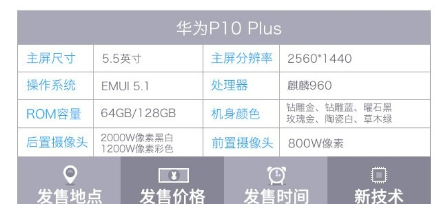 p10有几个版本,数据导向实施-网页版_v5.106