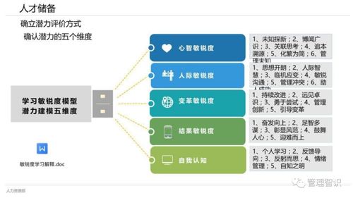 五子棋版本,实践策略实施解析_运动版_v1.589