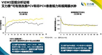 看见函数官方下载,权威研究解释定义_5DM_v2.743