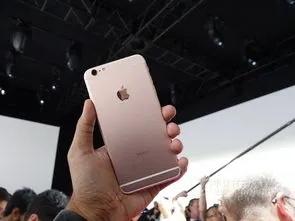 a1687是什么版本,时代说明评估-iPhone_v6.895