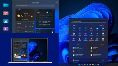饥饿鲨世界最新版本,实地设计评估数据 Windows_v8.979