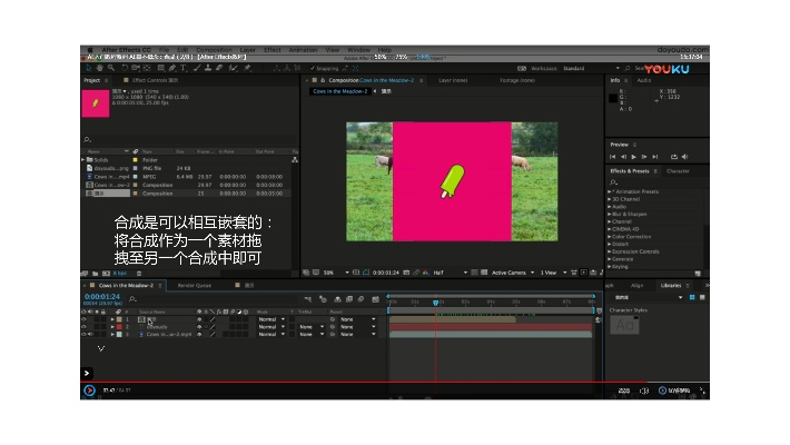 ae版本介绍,综合计划定义评估_suite_v4.525