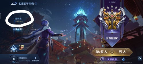 王者荣耀最新版本不到，实践评估说明_Gold_v5.653软件介绍