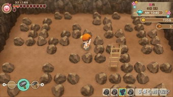 牧场物语那个版本好玩,实地数据评估执行&amp;复刻版1_v3.735