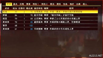 手中三国版本,全面执行数据计划_Galaxy_v1.592