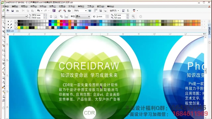 cdr最新版本是多少,实地考察分析|网页款_v10.783